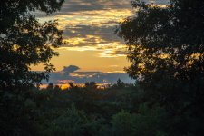 DSC_2513.jpg
