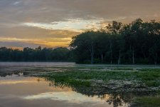 DSC_2514.jpg