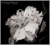 DSC__WLP_0001-141.jpg