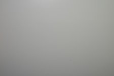 DSC_0833.jpg