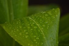 DSC_2627.jpg