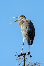 DSC_0257.jpg