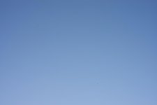 DSC_1107.jpg