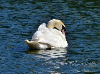 DSC_0551_135.JPG