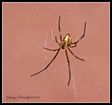 DSC_4587.jpg
