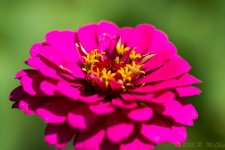 DSC_2648.jpg