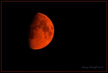Day227BloodMoon.jpg