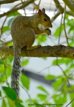 DSC_4523.jpg