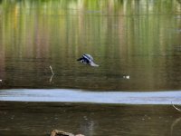 DSCN9657.jpg