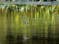 DSCN9658.jpg