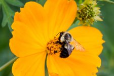 DSC_2695.jpg