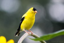 DSC_2687.jpg