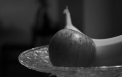 DSC_0047.jpg