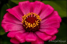 DSC__WLP_0001-147.jpg
