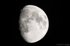 DSC_2751.jpg
