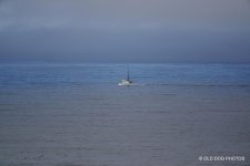 day 6 tr 1 039.jpg