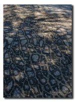 My street.jpg