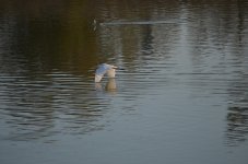 17th August 2013-1 124.jpg