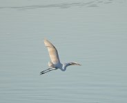 17th August 2013-1 098.JPG