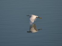 17th August 2013-1 130.jpg