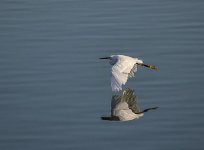 17th August 2013-1 130.jpg