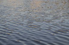 RI - lake..jpg