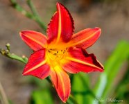 DSC_9557_190.JPG