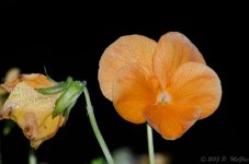 DSC_8864.jpg