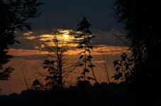 DSC_0230.jpg