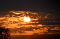 DSC_0234.jpg