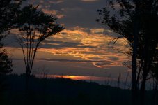 DSC_0254.jpg