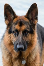 DSC_0568.jpg