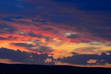 DSC_0897.jpg