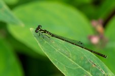 DSC_2829.jpg