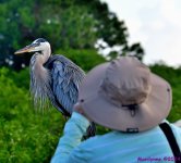 DSC_6784_001.JPG