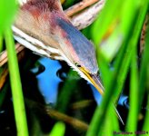 DSC_6808_001.JPG