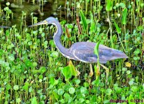 DSC_6815_001.JPG