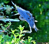 DSC_7152_001.JPG