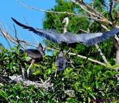 DSC_7277_001.JPG
