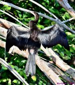 DSC_7288_stitch_001.JPG