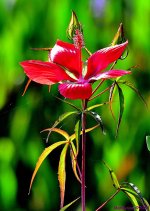 DSC_7572_001.JPG
