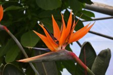 DSC_3667.JPG