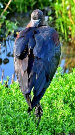 DSC_8246_001.JPG