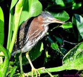 DSC_8303_001.JPG