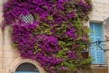 MALTA-139.jpg