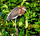 DSC_9038_001.JPG