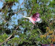 DSC_9280_001.JPG
