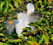 DSC_9570_001.JPG