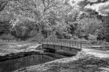 ForestP_057_059-HDR-merge-TpzAI-water-dBW-grg-1350.jpg
