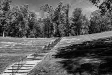 ForestP_004_006-HDR-marge-f11-crop-TpzAI-dBW-1350.jpg